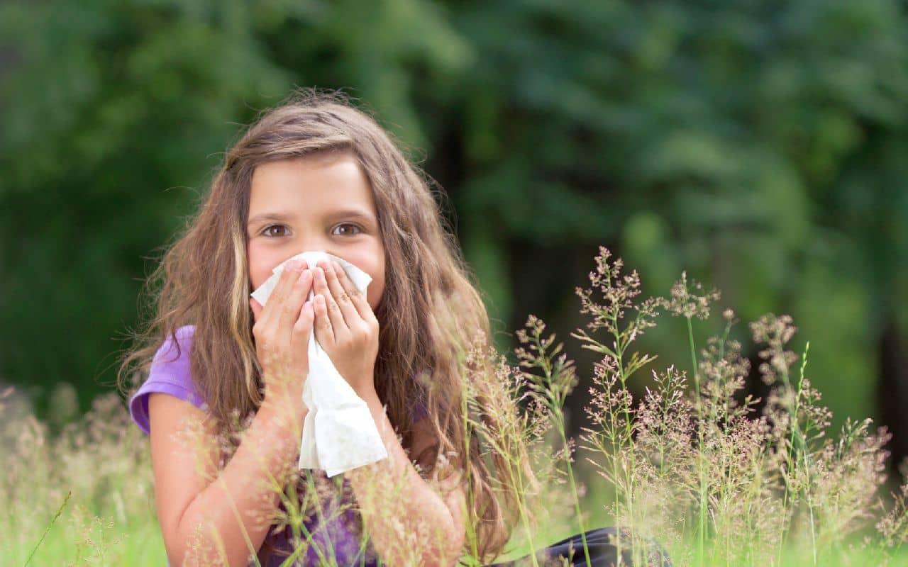 Pollencocktail um Roggen ergänzt