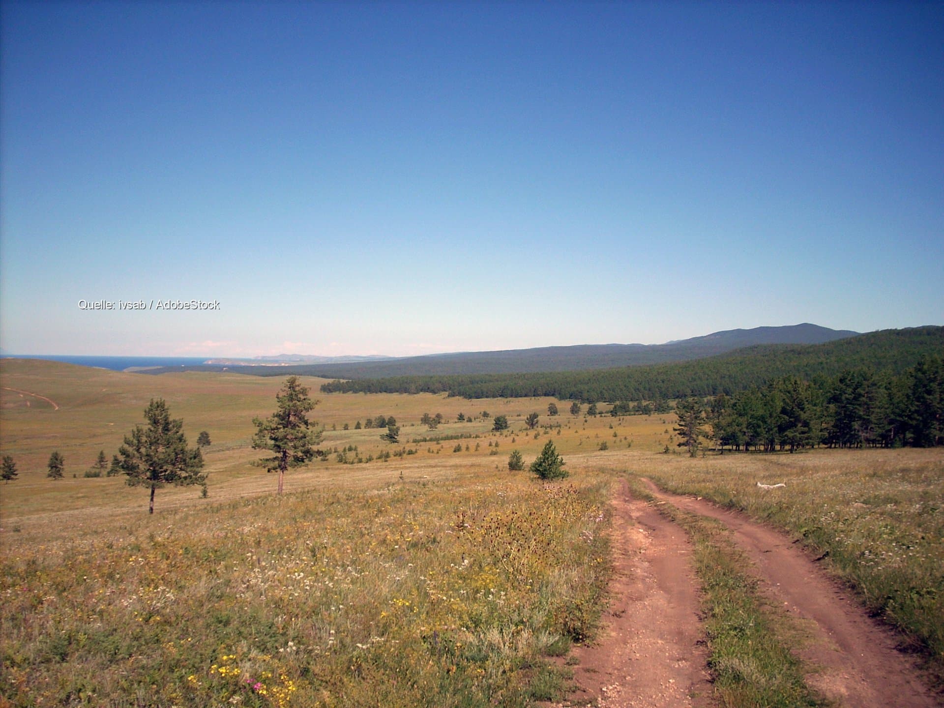 Trockene Bäche in halb Deutschland: Notabfischungen laufen