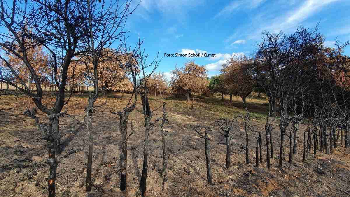 Waldbrand in der Eifel: Glutnester trotzen dem Regen