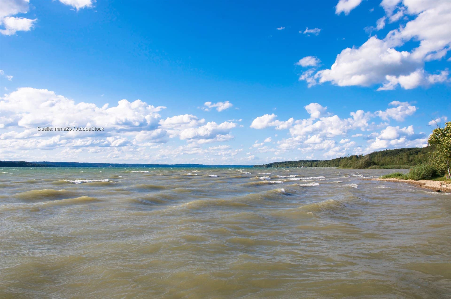 Blaualgen von der Ostsee bis Bayern: Badeverbote an Seen