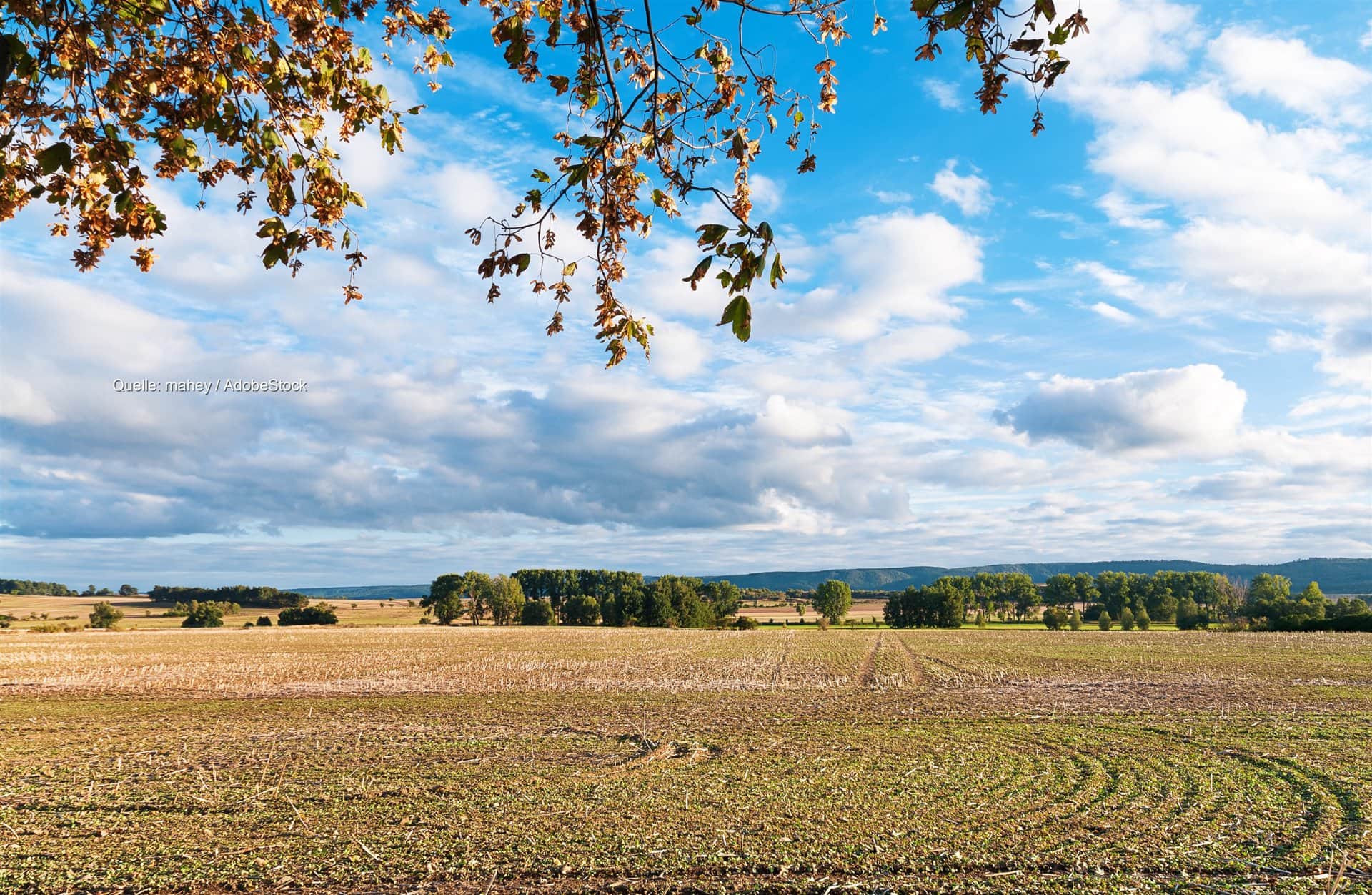 Nebel und kühle Nächte in Deutschland: Wärme kehrt zurück