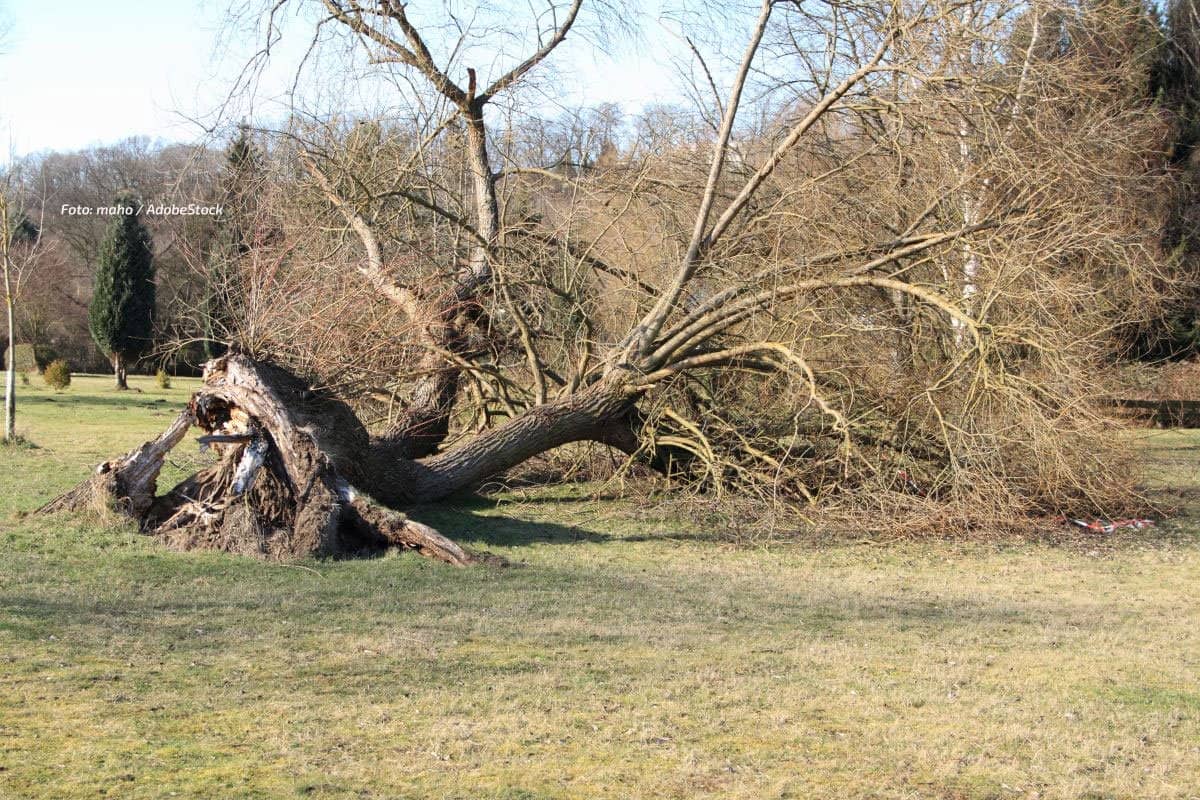 Sturm Luise im Westen: Zwei Schwerverletzte, Sonntag folgt Manja