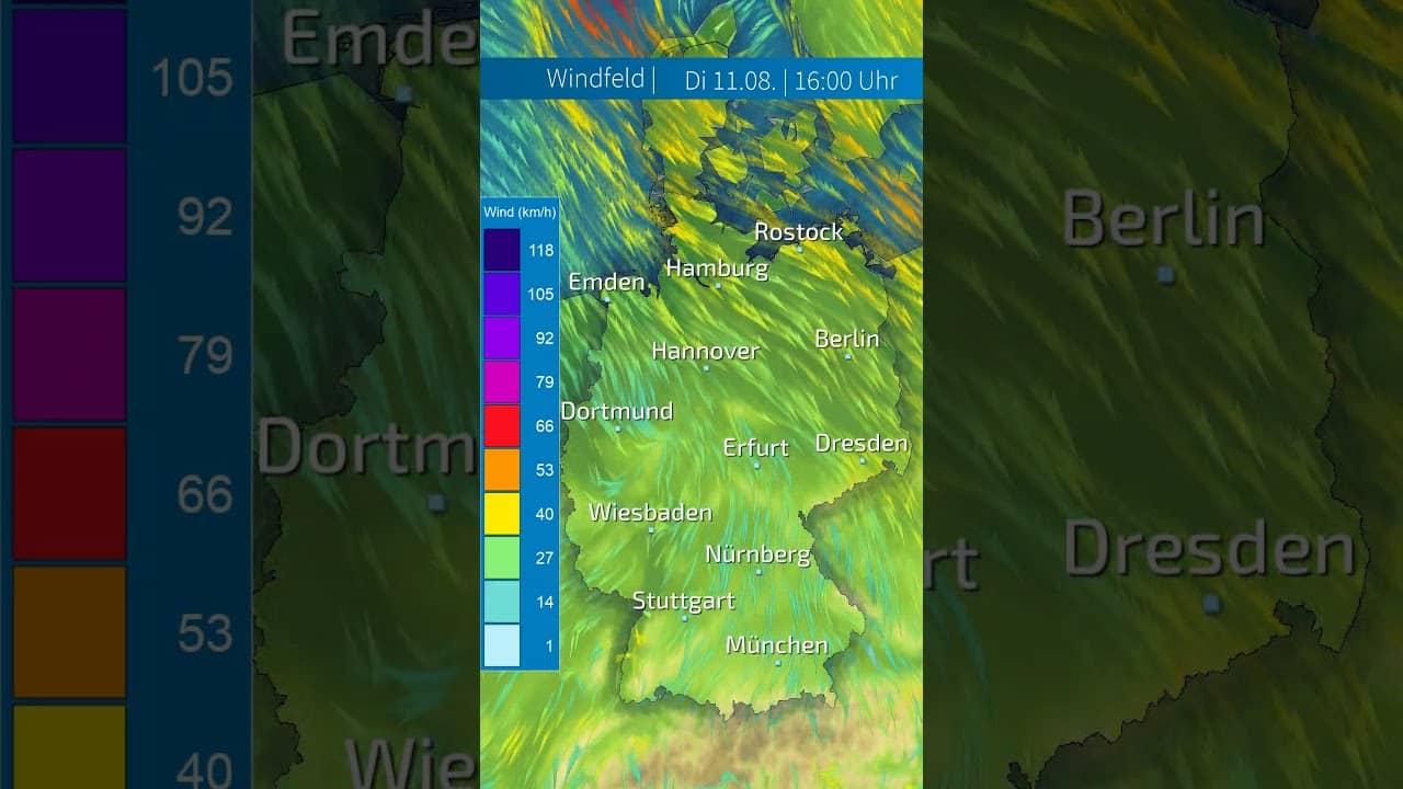 Kühler Nordwind bremst heute den Sommer im Norden aus! #sommer2026 #news #shorts