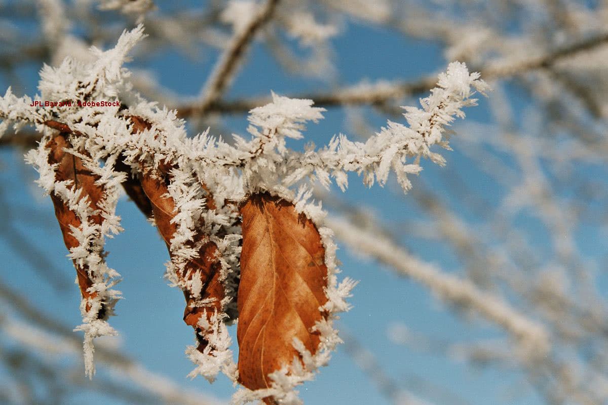 Wetter-Experten schlagen Alarm: Droht uns ein unerwartet kühler Oktober?