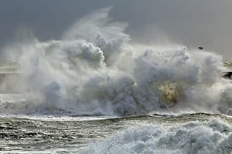 Tsunami-Entwarnung nach starkem Seebeben vor Alaska