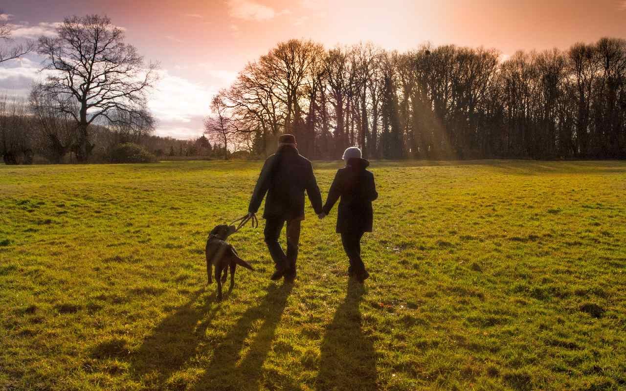 Vorzeichen stehen weiterhin auf Vorfrühling